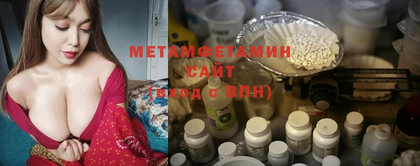 шишки Медвежьегорск
