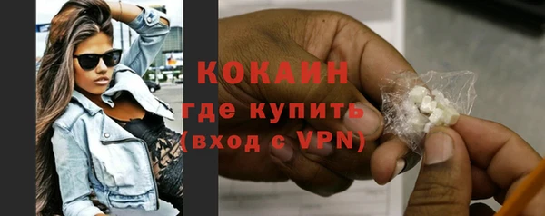 шишки Медвежьегорск