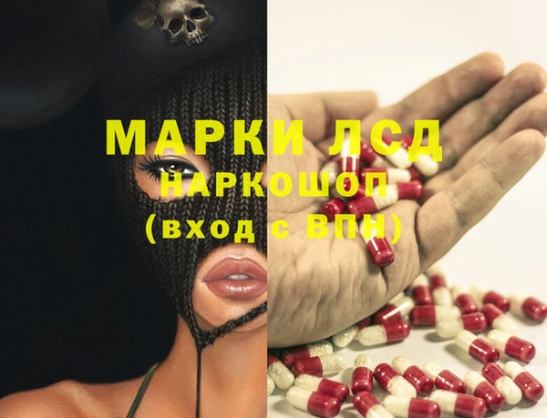 шишки Медвежьегорск