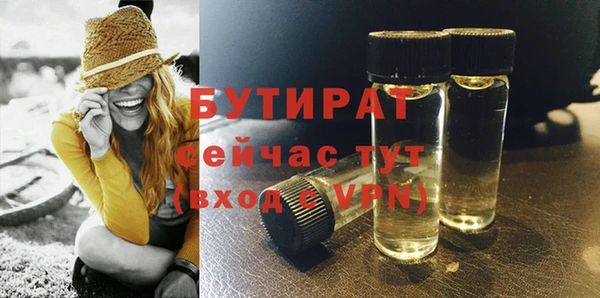 шишки Медвежьегорск