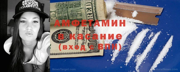 шишки Медвежьегорск