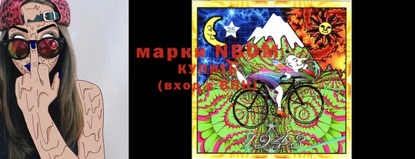 шишки Медвежьегорск