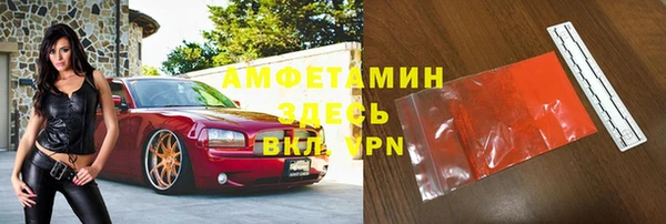 шишки Медвежьегорск