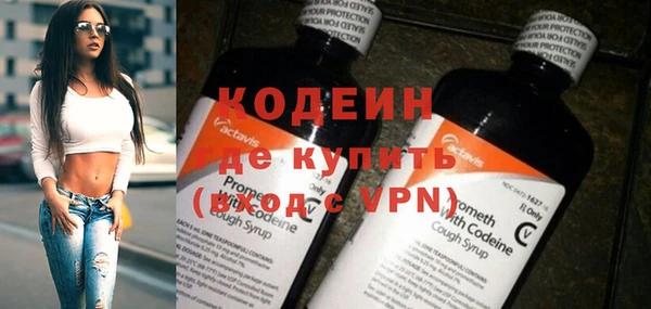 шишки Медвежьегорск