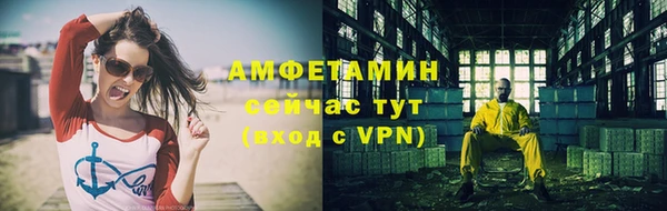шишки Медвежьегорск