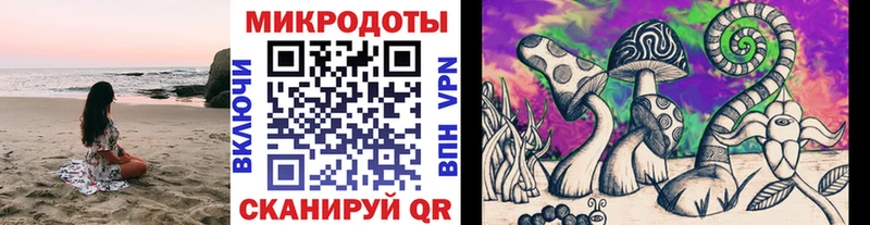 кракен сайт где найти Урус-Мартан Псилоцибиновые грибы Psilocybine cubensis